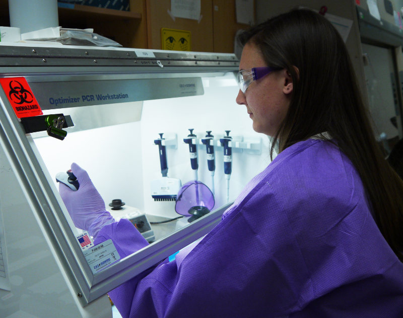 A female epidemiologist with a pipettor working at a lab workstation