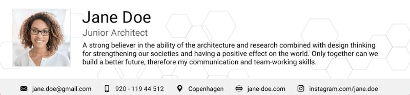 Example of a resume header